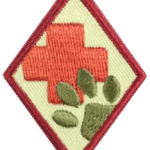 Animal Helpers Badge Workshop