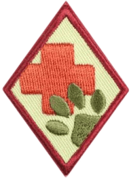 Animal Helpers Badge Workshop