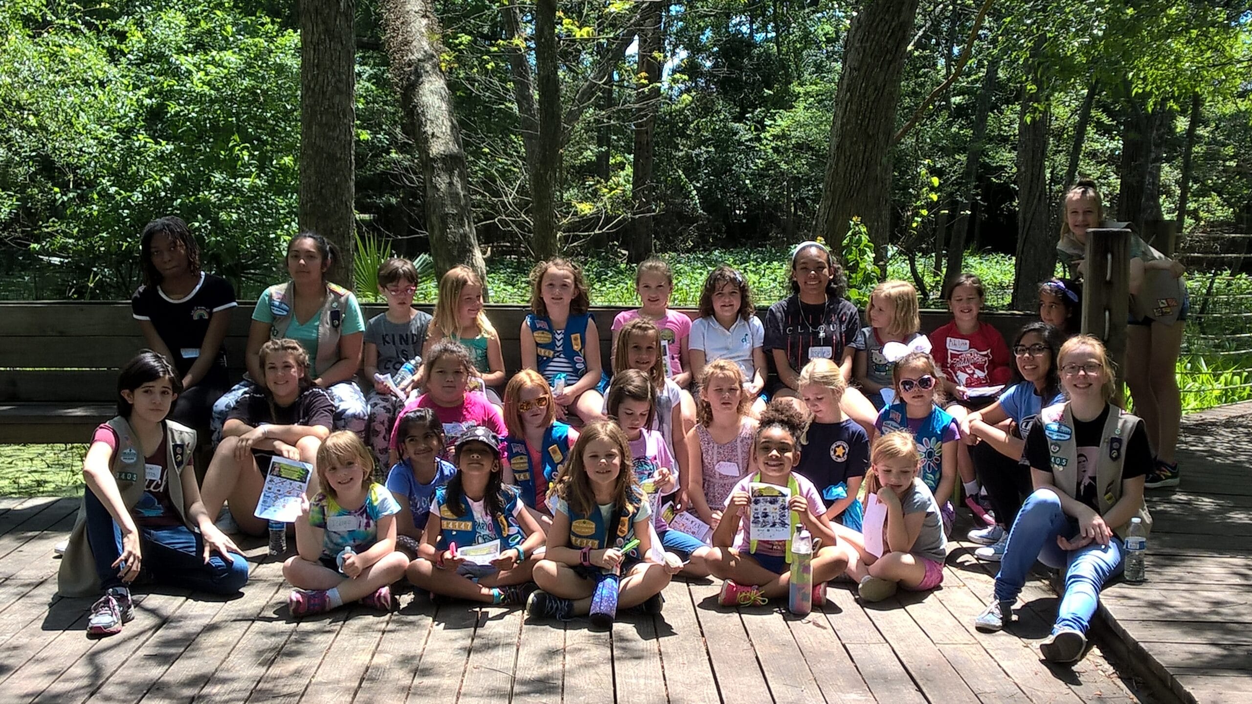 Daisy Flower Garden Journey